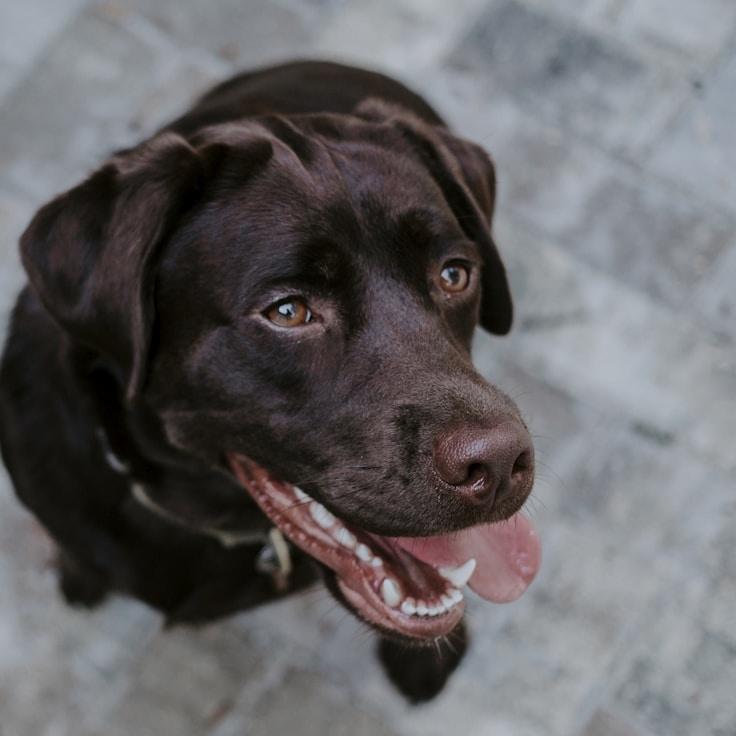 Portrait of Ananya meditation instructor